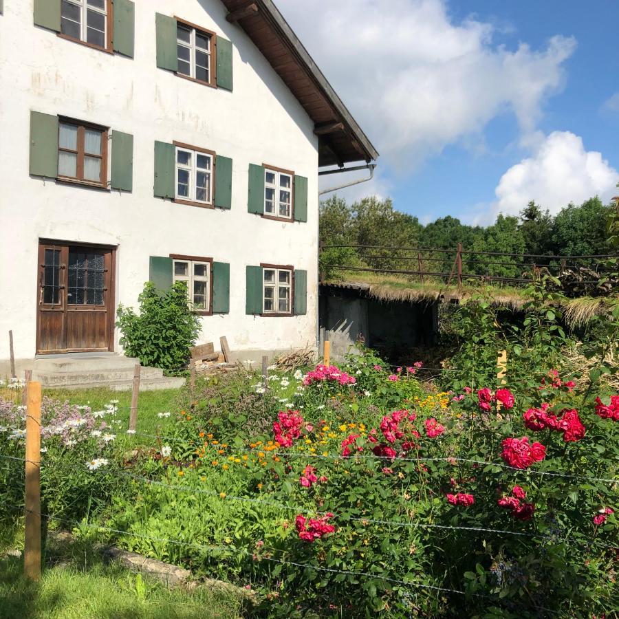 Ferienwohnung Allgaeuliebe In Oy-Mittelberg Kültér fotó